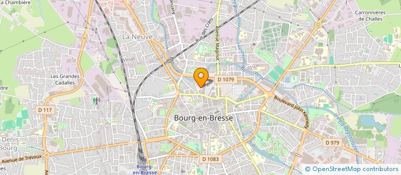 localisation de l'entreprise ASSOCIATION RHIN ET DANUBE ANCIENS COMBATTANTS DE LA PREMIERE ARMEE FRANCAISE DU DEPARTEMENT DE L'AIN à BOURG-EN-BRESSE