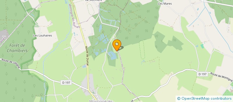 localisation de l'entreprise ASSOCIATION SALAFRO'MEN  MONTIGNE-LES-RAIRIES