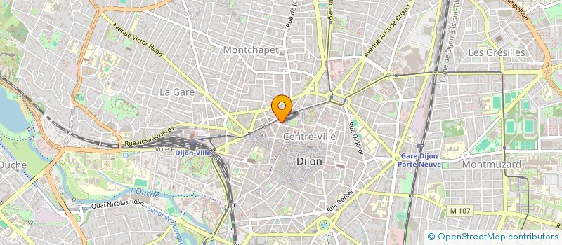 localisation de l'entreprise ASSOCIATION SANTE VISUELLE DIJON à DIJON