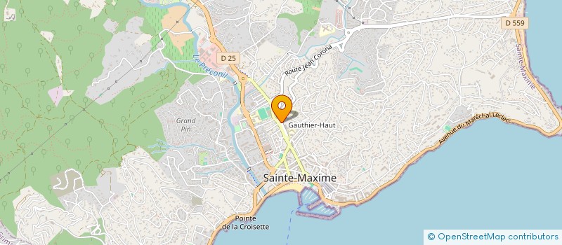 localisation de l'entreprise ASSOCIATION SOCIALE SPORTIVE ET CULTURELLE DE LA POLICE MAXIMOISE à SAINTE MAXIME