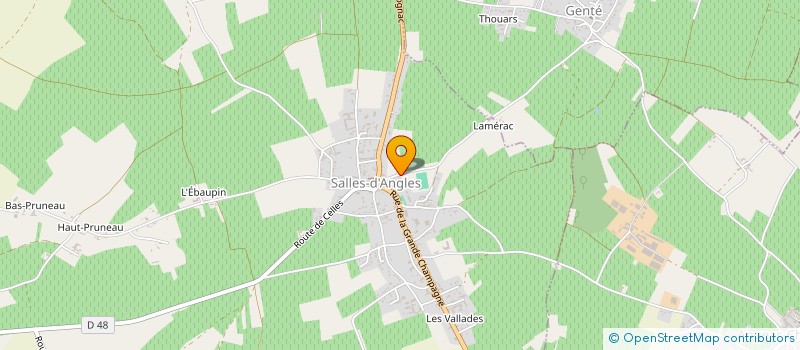 localisation de l'entreprise ASSOCIATION SPORT & DETENTE à SAINT-FORT-SUR-LE-NE