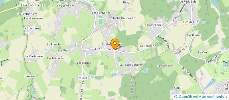 localisation de l'entreprise ASSOCIATION SPORTIVE DES VETERANS DE SAVONNIERES  SAVONNIERES