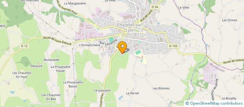 localisation de l'entreprise ASSOCIATION SPORTIVE DU LYCEE DES HORIZONS  CHAZELLES-SUR-LYON