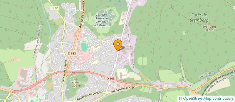 localisation de l'entreprise ASSOCIATION SPORTIVE ET SOCIO-EDUCATIVE DE L'ECOLE CRUSEM LES LIONS DE CRUSEM  SAINT-AVOLD