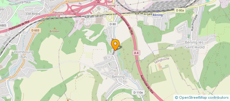 localisation de l'entreprise ASSOCIATION SPORTIVE ET SOCIO-EDUCATIVE DE L ECOLE ELEMENTAIRE DE BENING  BENING-LES-SAINT-AVOLD