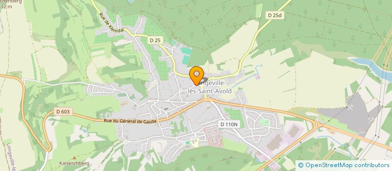 localisation de l'entreprise ASSOCIATION SPORTIVE ET SOCIO EDUCATIVE DE L'ECOLE ELEMENTAIRE MIXTE 1  LONGEVILLE-LES-SAINT-AVOLD