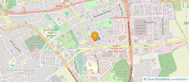 localisation de l'entreprise ASSOCIATION SPORTIVE ET SOCIO EDUCATIVE DE L ECOLE ELEMENTAIRE MIXTE LOUIS PERGAUD  METZ