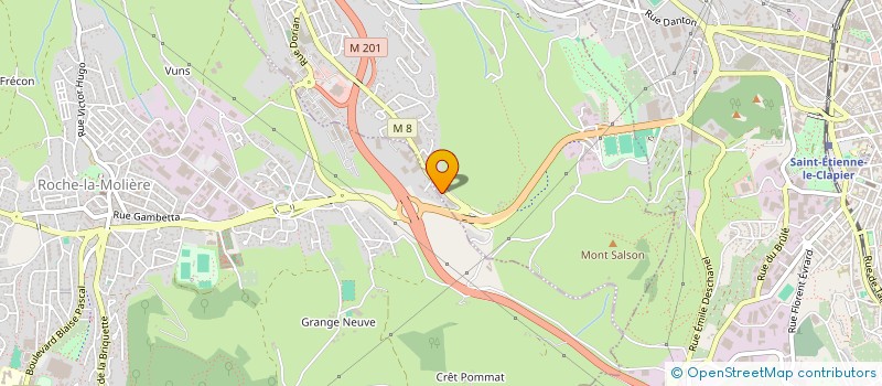 localisation de l'entreprise ASSOCIATION SPORTIVE PUGILISTIQUE FOREZIENNE à SAINT GENEST LERPT