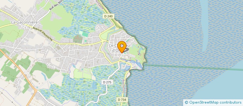 localisation de l'entreprise ASSOCIATION SYNDICALE AUTORISEE DES MARAIS SUD DE L'ILE D'OLERON  LE CHATEAU-D'OLERON