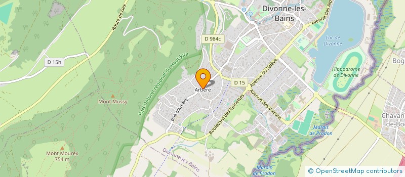 localisation de l'entreprise ASSOCIATION SYNDICALE DU DOMAINE DU MONT-BLANC à DIVONNE-LES-BAINS