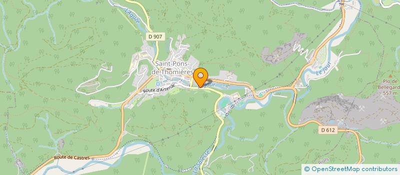 localisation de l'entreprise ASSOCIATION SYNDICALE LIBRE DE GESTION FORESTIERE DES CHATAIGNERAIES   SAINT-PONS-DE-THOMIERES