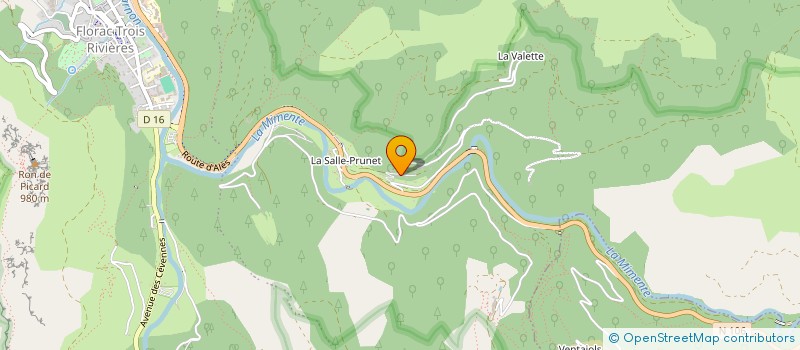 localisation de l'entreprise ASSOCIATION SYNDICALE LIBRE DE GESTION FORESTIERE TRANIOS-COMBEVIELLE-A.S.L.G. DES FORETS DE TRANIOS -COMBEVIELLE  FLORAC TROIS RIVIERES