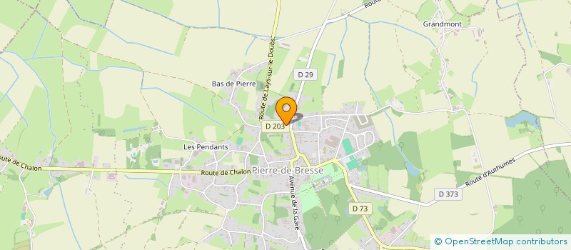 localisation de l'entreprise ASSOCIATION TREMPLIN à PIERRE-DE-BRESSE