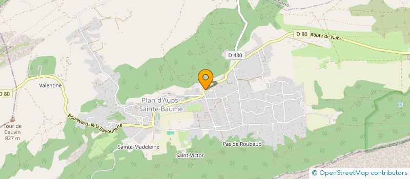 localisation de l'entreprise ASSOCIATION VIE TRANQUILLE SAINTE BAUME  PLAN-D'AUPS-SAINTE-BAUME