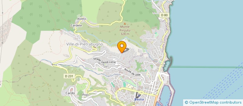 localisation de l'entreprise ASTRALGTO  VILLE-DI-PIETRABUGNO