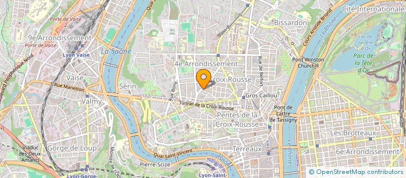 localisation de l'entreprise ASTRALIS & CO  LYON