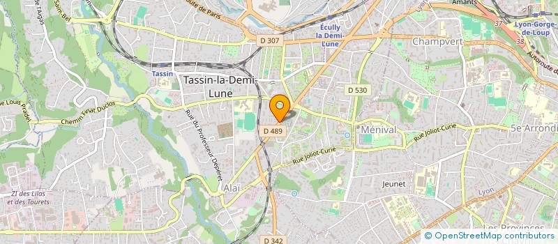 localisation de l'entreprise AT ANALYSE FORMATION CONSEIL  TASSIN-LA-DEMI-LUNE