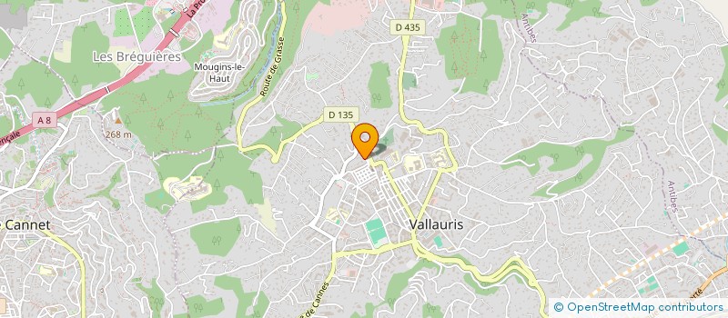 localisation de l'entreprise AT'M  VALLAURIS