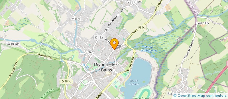 localisation de l'entreprise AT52 SPORTS CONSULTING à DIVONNE-LES-BAINS