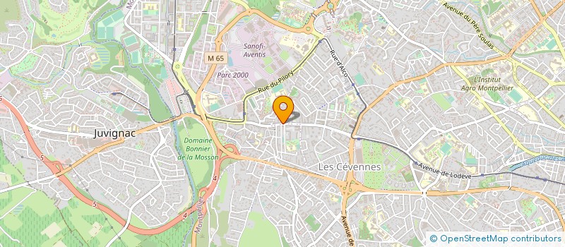 localisation de l'entreprise ATEL PROGRAMMATION INFORMATIQUE SERVICES à MONTPELLIER