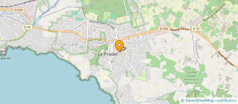 localisation de l'entreprise ATELIER D'ARCHITECTURE NICOLAS FAOU  LE PRADET