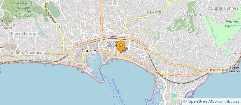 localisation de l'entreprise ATELIER DE COUTURE CHOTARD NADEGE à CANNES