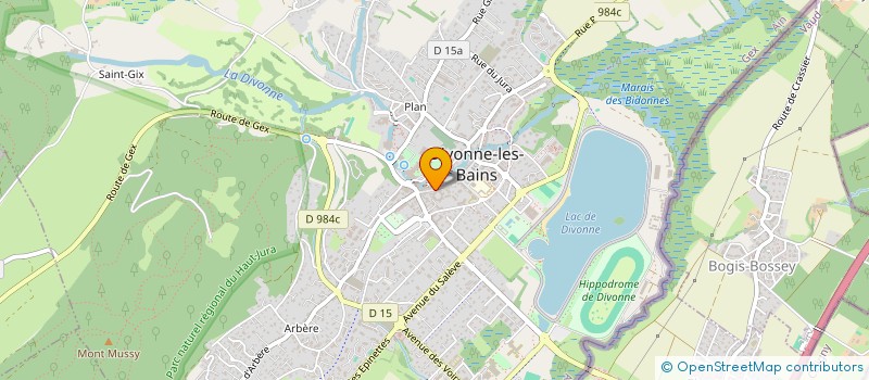 localisation de l'entreprise ATELIER PASSEUR DE TEMPS à DIVONNE-LES-BAINS