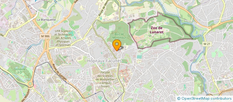 localisation de l'entreprise ATELIER THEATRE VIVACE à MONTPELLIER