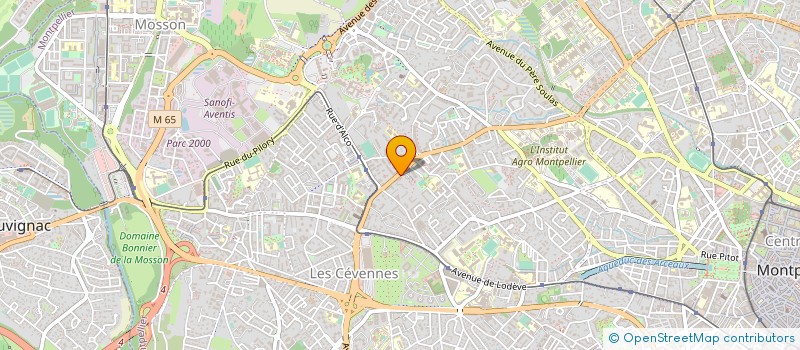 localisation de l'entreprise ATEMIS SECURITE à MONTPELLIER