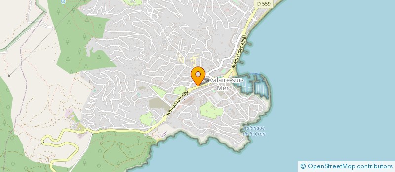 localisation de l'entreprise ATOUT SERVICES NETTOYAGE à CAVALAIRE-SUR-MER