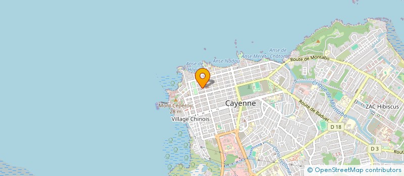 localisation de l'entreprise ATOUT VERT  CAYENNE