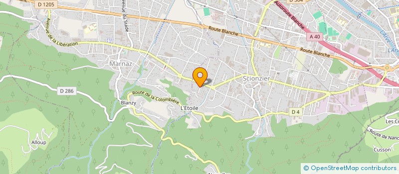 localisation de l'entreprise ATOUTS SERVICES à SCIONZIER