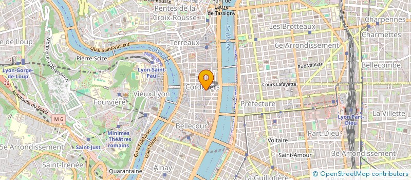 localisation de l'entreprise ATRINFO  LYON