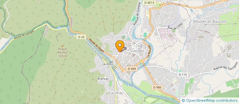 localisation de l'entreprise AU BON COIN  GANGES