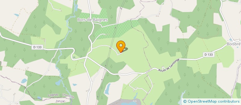 localisation de l'entreprise AU BORS DES PRES à BORS (CANTON DE CHARENTE-SUD)