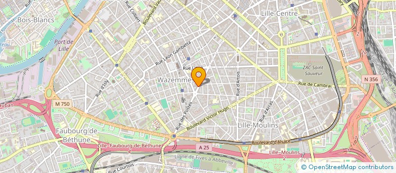 localisation de l'entreprise AU BOUT DES REVES à LILLE
