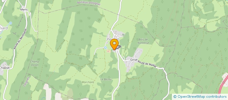 localisation de l'entreprise AU CHAMP DU PUITS  PEYRIAT