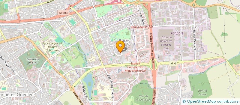 localisation de l'entreprise AU CISEAU D'OR  METZ