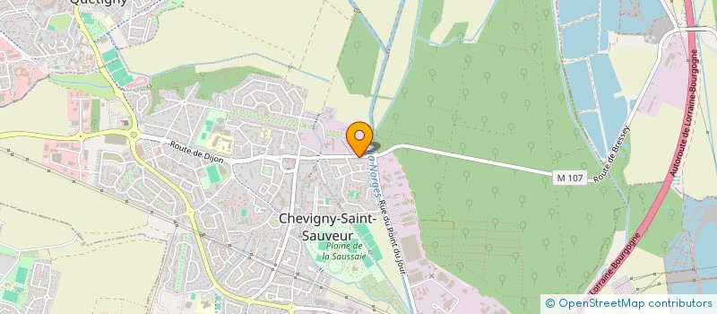 localisation de l'entreprise AU COEUR DES COULEURS à CHEVIGNY-SAINT-SAUVEUR