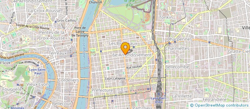 localisation de l'entreprise AU FEU DE BOIS  LYON