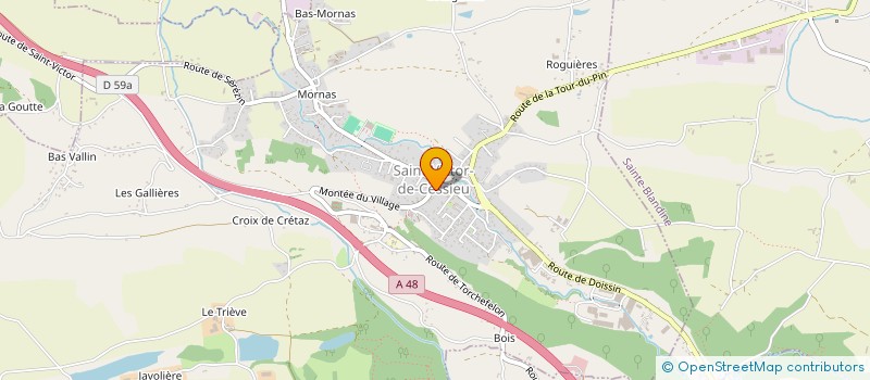 localisation de l'entreprise AU FEU DE BOIS  SAINT-VICTOR-DE-CESSIEU