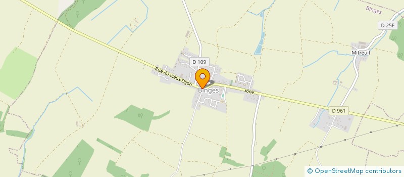 localisation de l'entreprise AU FOURNIL DE BINGES  BINGES