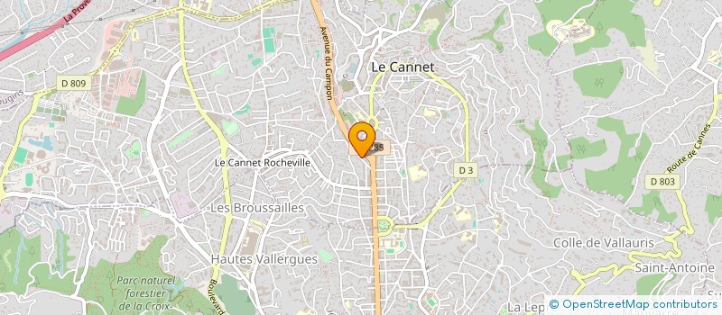 localisation de l'entreprise AU GRAIN D ' AMOUR à LE CANNET