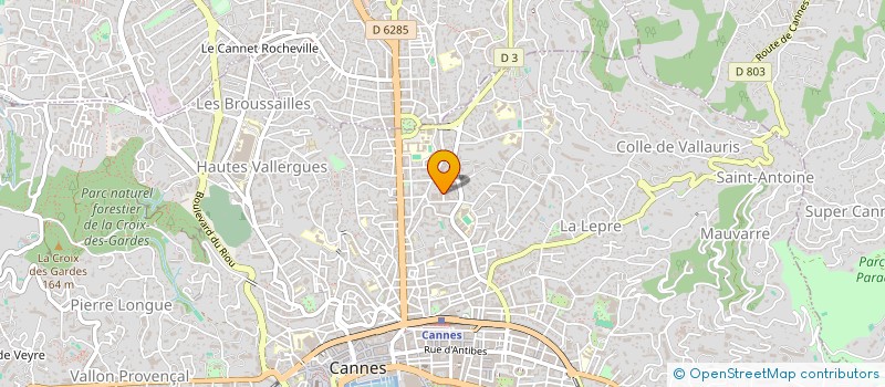 localisation de l'entreprise AU GRAIN DE SEL à CANNES