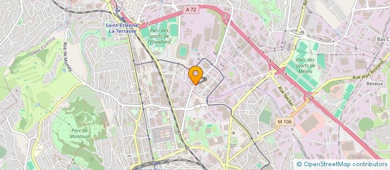 localisation de l'entreprise AU JARDIN FLEURI à SAINT-ETIENNE