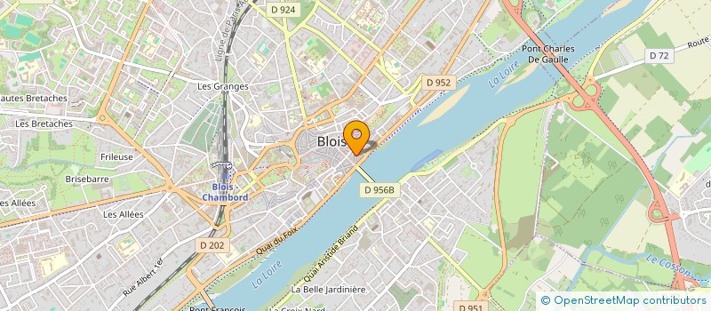 localisation de l'entreprise AU LION D'OR  BLOIS