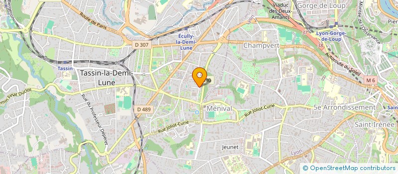 localisation de l'entreprise AU MONTE MEUBLE LYONNAIS à TASSIN-LA-DEMI-LUNE