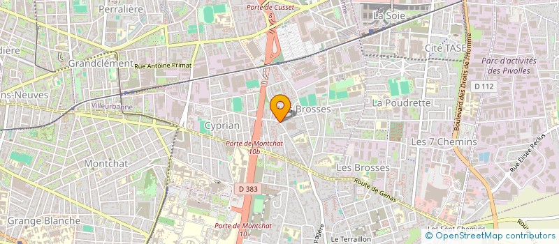 localisation de l'entreprise AU PAIN D'AUTOMNE à VILLEURBANNE