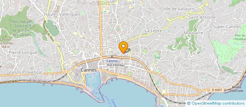 localisation de l'entreprise AU PALMIER D'OR à CANNES