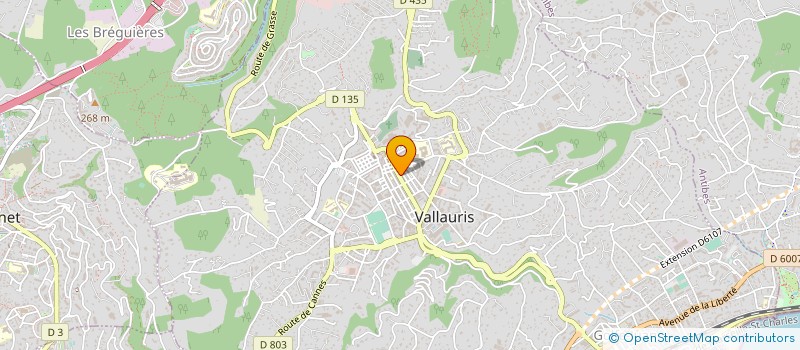 localisation de l'entreprise AU PARADIS DES SAVEURS à VALLAURIS